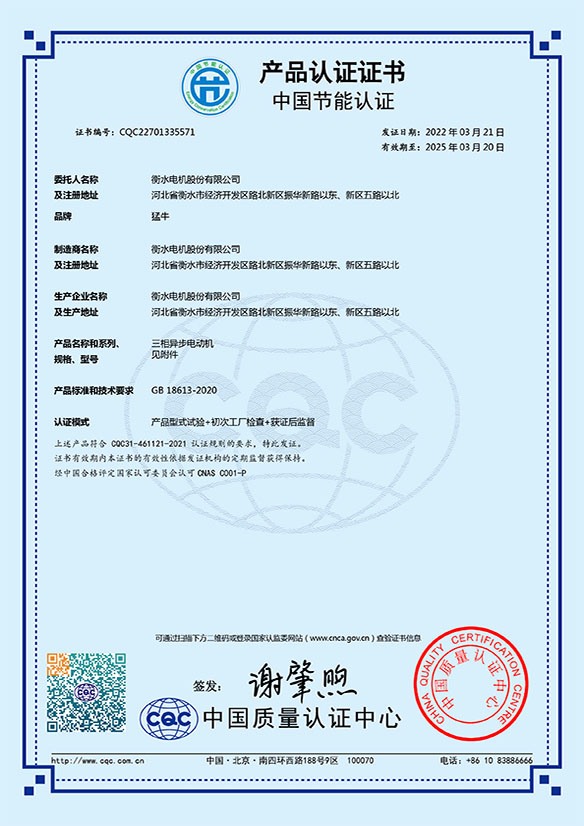 YE5節(jié)能認(rèn)證證書(shū)